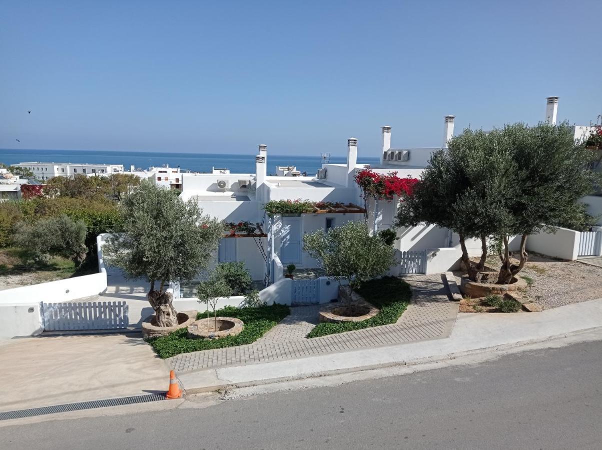 Amphitrite Apartments Skyros Exteriör bild